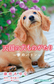 天国の犬ものがたり～夢のバトン～